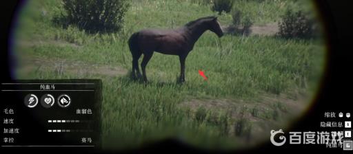 荒野大镖客2血骝色纯血马在哪抓?3