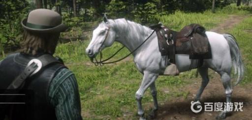 荒野大镖客2老兵的马可以留给约翰吗?2