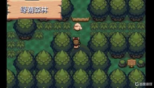 究极绿宝石5.4百花林在哪?1