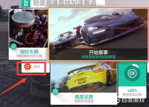 地平线4手柄震动在哪里设置?_地平线4手柄震动怎么调