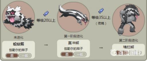 宝可梦蛇纹熊伽勒尔怎么进化?2