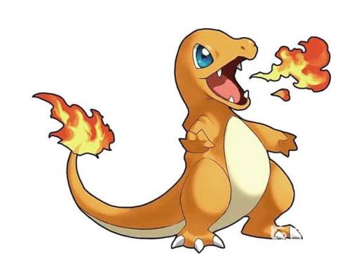 宝可梦小火龙要什么特性和性格?3
