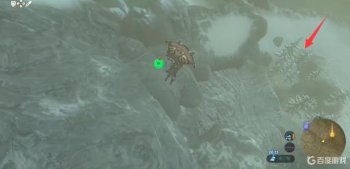 塞尔达三棵杉树的秘密在哪里?5