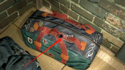 消逝的光芒子弹不能放仓库嘛?_消逝的光芒子弹能放仓库吗