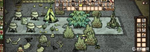 饥荒韦伯的头骨怎么埋?2