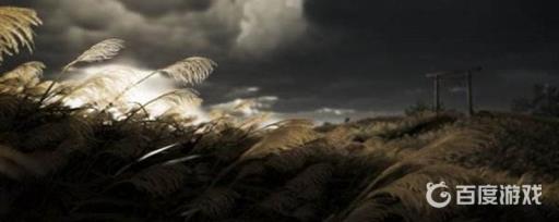 本作的游戏类型是什么?1