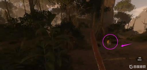 绿色地狱美洲豹怎么打?_绿色地狱豹子