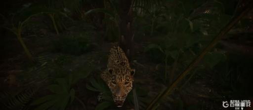 绿色地狱美洲豹怎么打?2