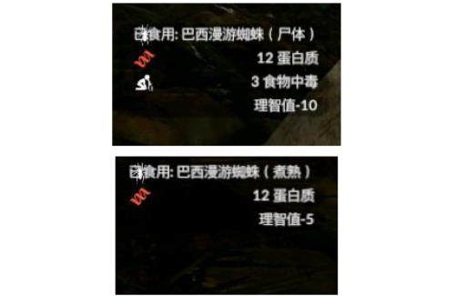 绿色地狱巴西漫游蜘蛛可以干什么?2