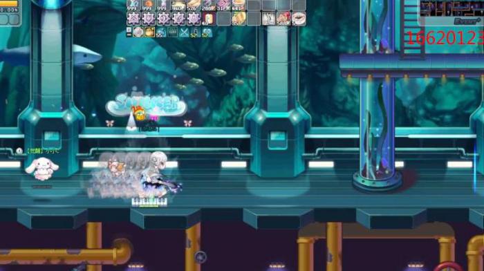 彩虹岛每天上线做什么任务最好2