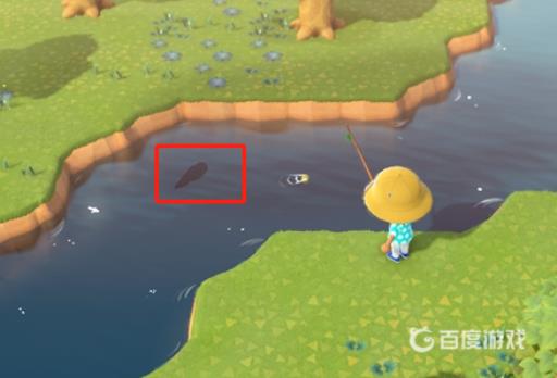 动森蛤蜊有什么用?3