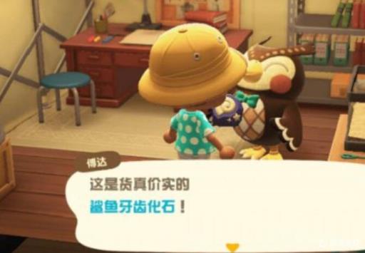 集合啦！动物森友会化石卖还是捐?1