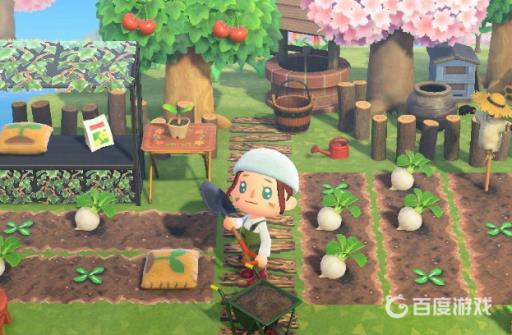 动物森友会为什么去巴猎岛没有广场?1