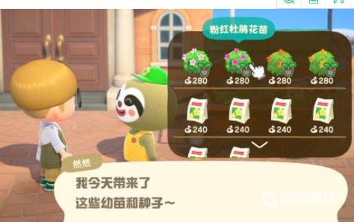 动森灌木丛在哪里买?2