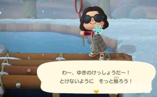 动森雪花怎么捕捉?2