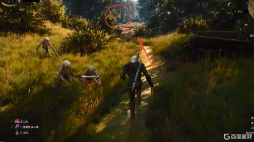 巫师3如何完成任务猎捕女巫?6