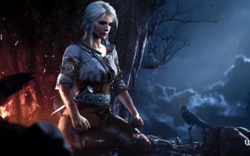 巫师3血与酒完美结局是什么?1