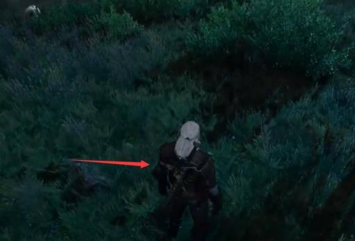 巫师3燕子魔药配方在哪?2