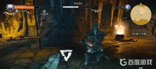 巫师3伸手不见五指怎么做?13