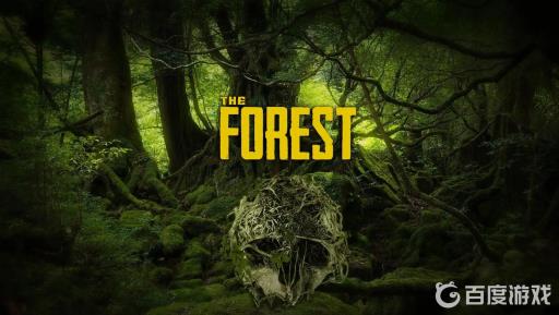 theforest火把怎么做?_theforest篝火