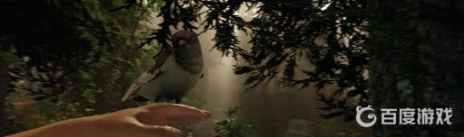 森林怎么创建联机房间?1