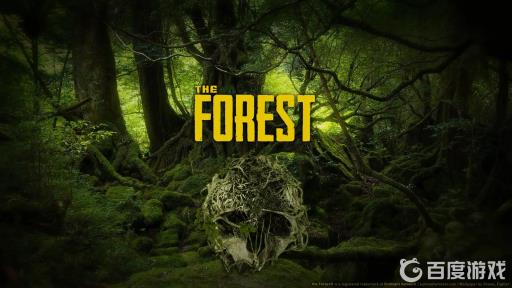 森林怎么跳过夜晚?1