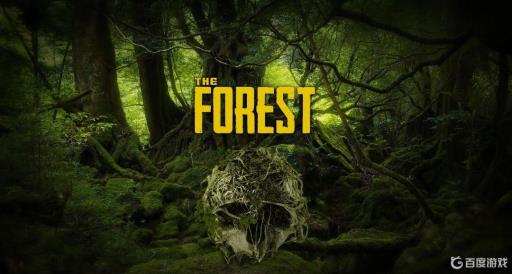 森林布料在哪获得?_森林布在背包哪里