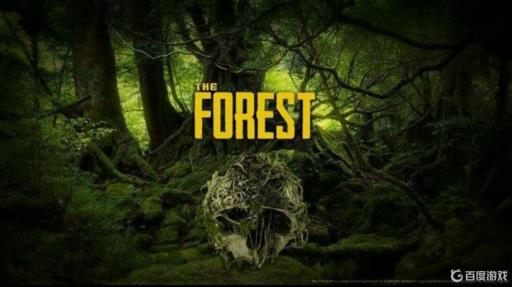 森林推荐配置什么样?1