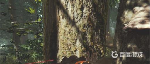 森林前期怎么发展?3