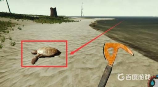 森林怎么收集水?2