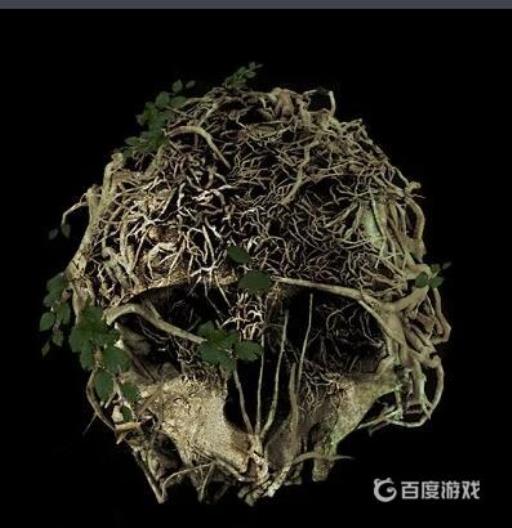 森林家建在哪好?1