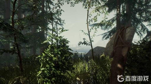 森林steam地图怎么获得?_《森林》怎么得到地图视频