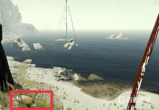 森林游戏乌龟壳怎么找?2