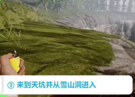 森林提米在哪?4