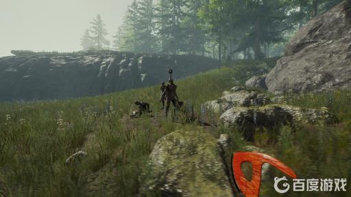 森林芦荟一般出现在哪个位置?_森林芦荟种子怎么得 森林芦荟一般出现在哪个位置?_森林芦荟种子怎么得