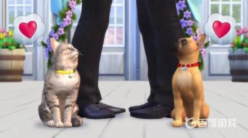 模拟人生4宠物怎么生娃?2