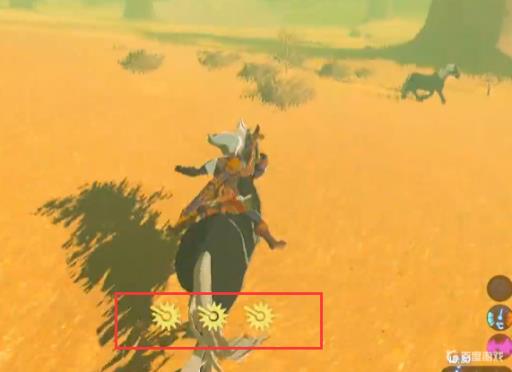 塞尔达5速马在哪里抓?2