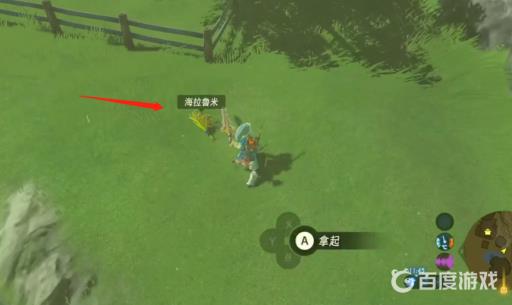 塞尔达海拉鲁米在哪收集?2