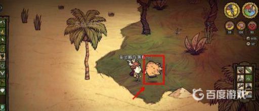 饥荒女战士怎么回精神?_饥荒战斗女