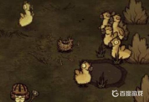 饥荒鹿鸭蛋怎么处理?_饥荒鹿鸭蛋几天孵化