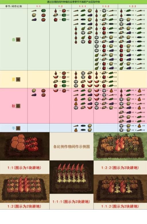 饥荒种瓜得瓜植物怎么搭配?2