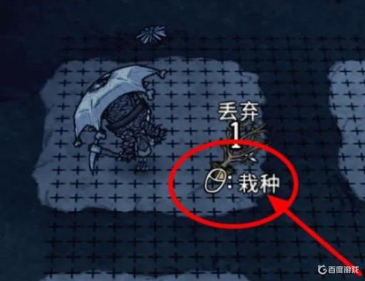 饥荒树枝怎么种?7