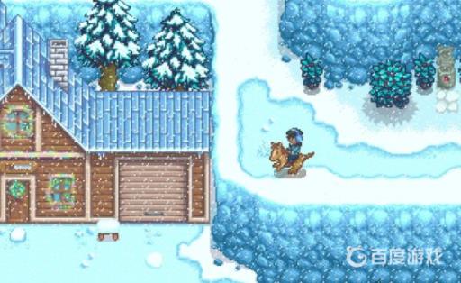 星露谷冬天要做什么?3