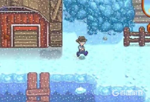 星露谷冬天要做什么?6