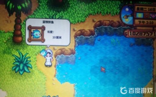 星露谷物语蓝铁饼鱼在哪钓?2