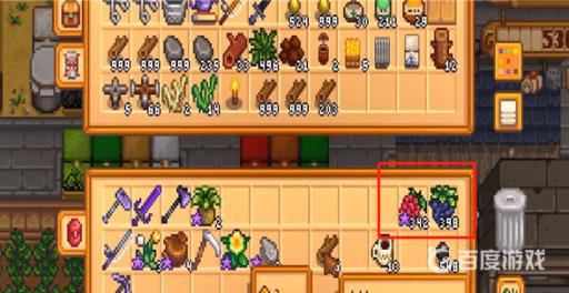 星露谷物语葡萄在哪里捡?2