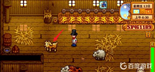 星露谷大瓶羊奶怎么收集?3