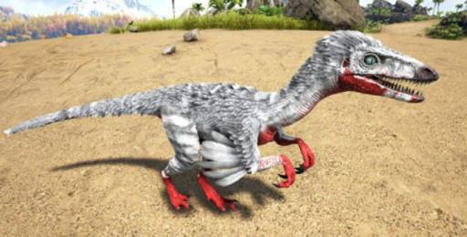 方舟伤齿龙有什么作用?2