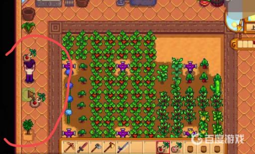 星露谷物语温室为啥种不了东西?8