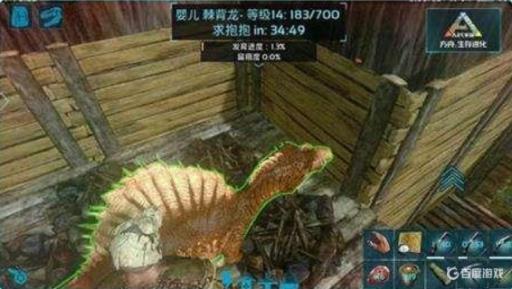 方舟如何大量刷肉?_方舟生存进化哪里刷肉快 方舟如何大量刷肉?_方舟生存进化哪里刷肉快